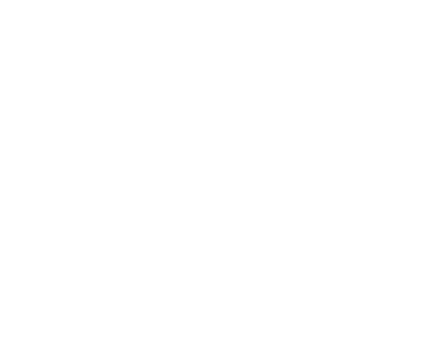 The Odessa File