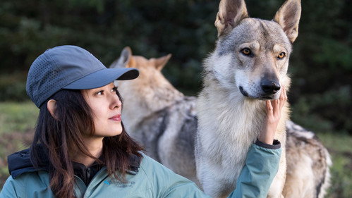 Episode 14 still