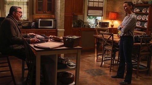 Blue Bloods – Sangue Azul: 9×8