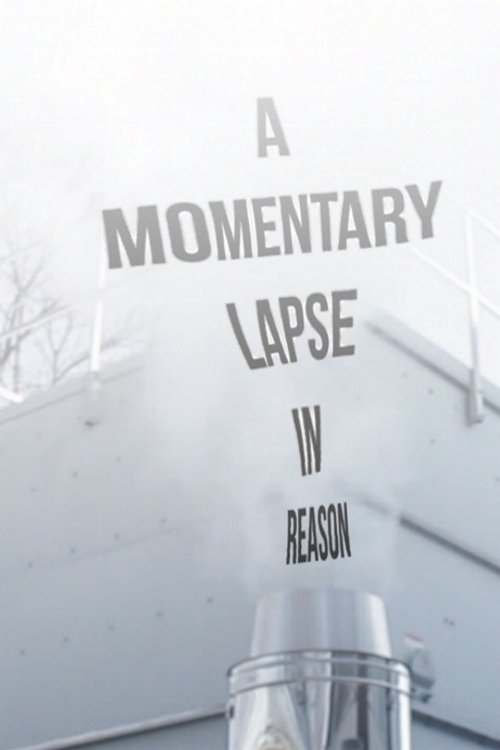A Momentary Lapse in Reason movie poster player