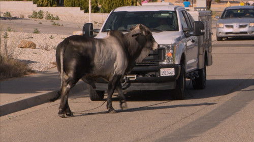 Image de l'épisode Épisode 33