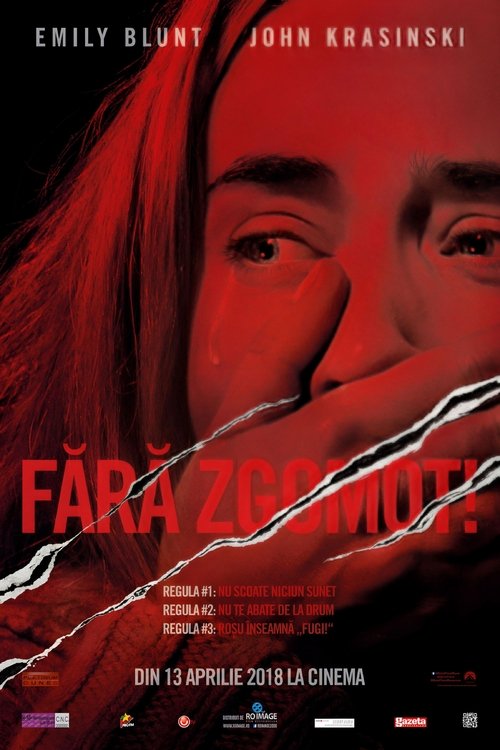 Poster pentru Fără zgomot!