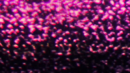 Lux Aeterna Backdrop Blur