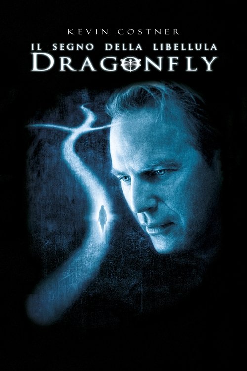 Dragonfly poster