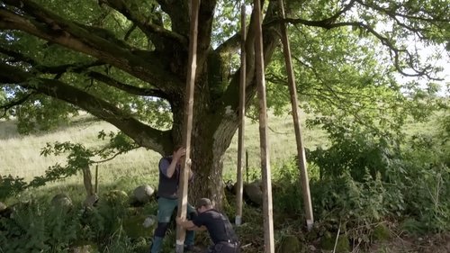 Image de l'épisode 4