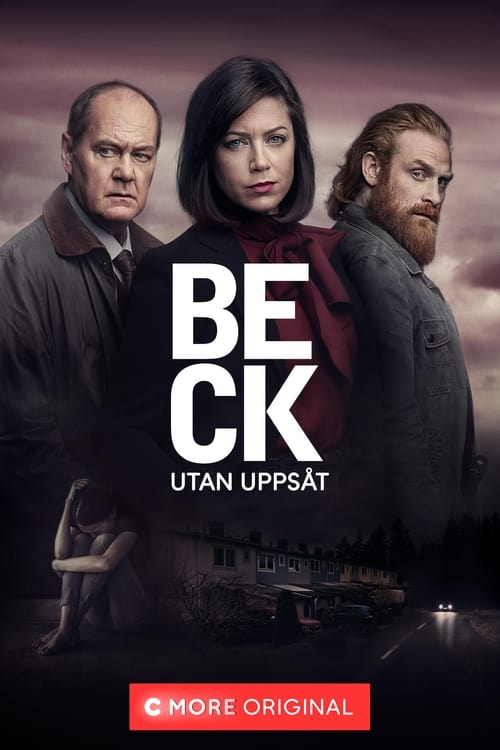 Where to stream Beck Season 6