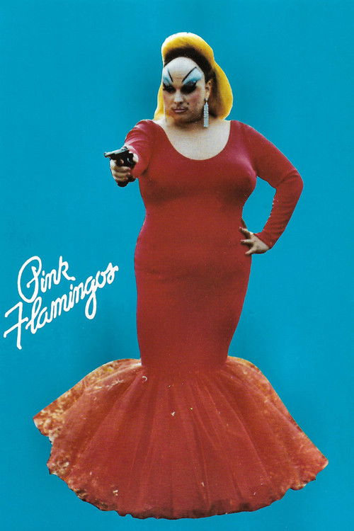 Pink Flamingos poster