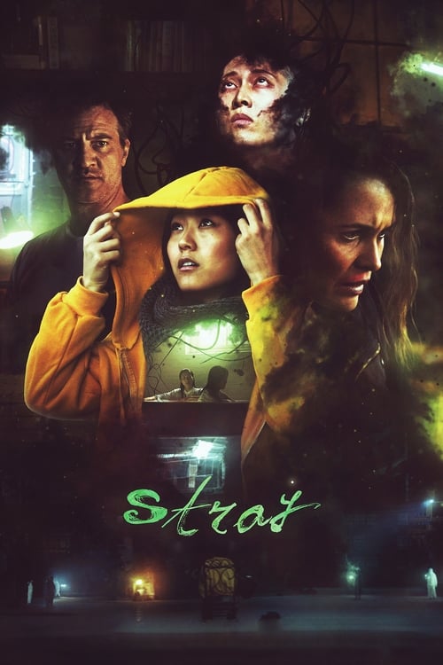 Stray poster