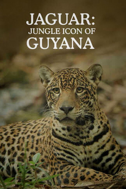 Jaguar: Jungle Icon of Guyana