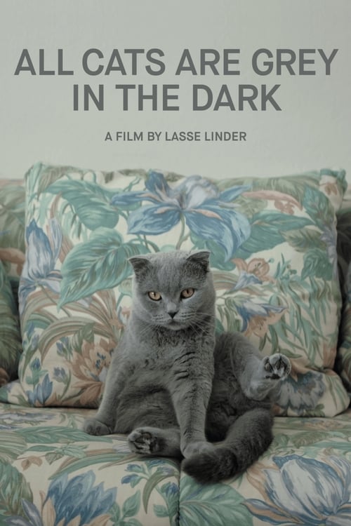 Poster Nachts sind alle Katzen grau 2019