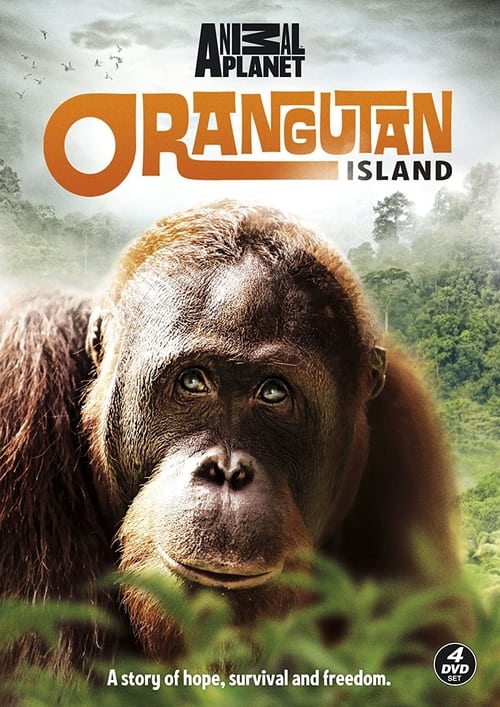 Orangutan Island poster