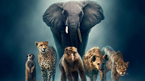 Dynasties II
