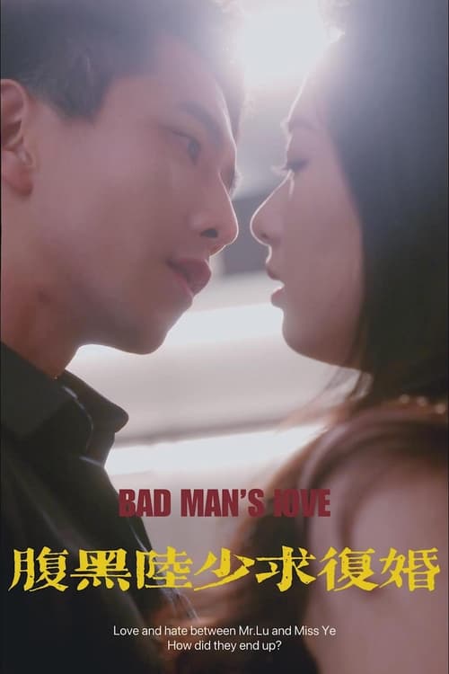 腹黑陆少求复婚
