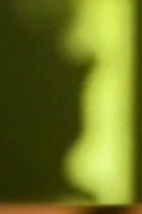 A Drop of Mythter's Milk (2001) poster