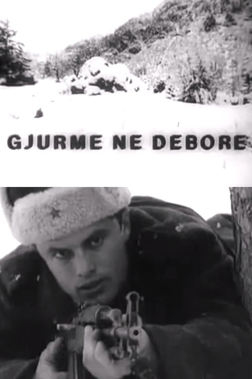 Gjurmë në dëborë 1984