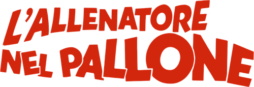 L'allenatore nel pallone