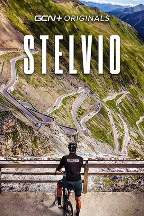 Stelvio (2022) poster
