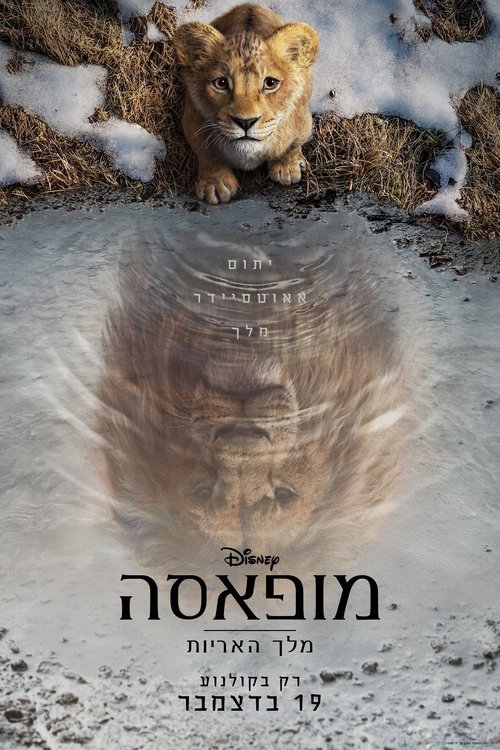 מופאסה: מלך האריות / Mufasa: The Lion King לצפייה ישירה מופאסה: מלך האריות / Mufasa: The Lion King לצפייה ישירה