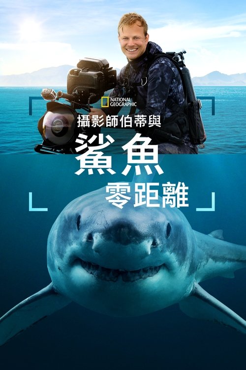 摄影师贝尔蒂与鲨鱼零距离