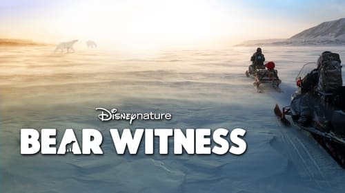 Watch Bear Witness Online Vidbull