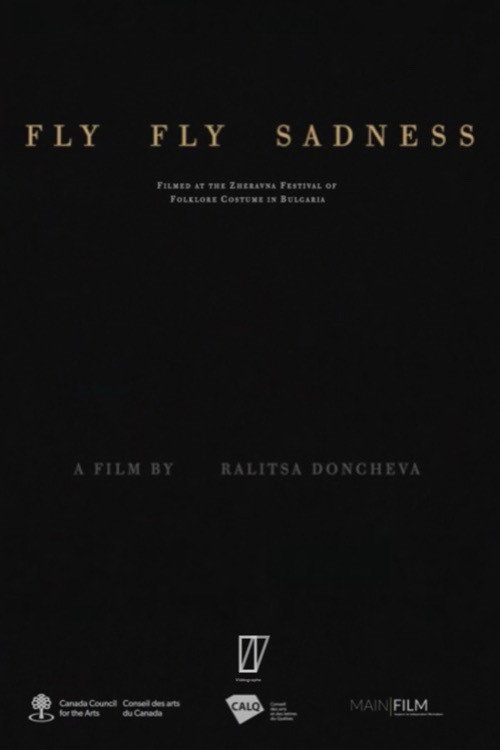 Fly Fly Sadness