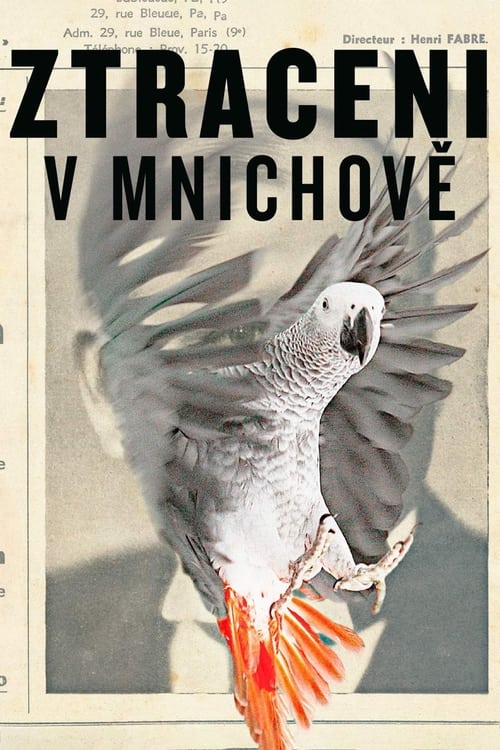 Ztraceni v Mnichově (2015)