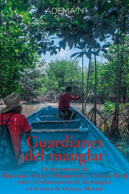 Guardianes del manglar movie poster player