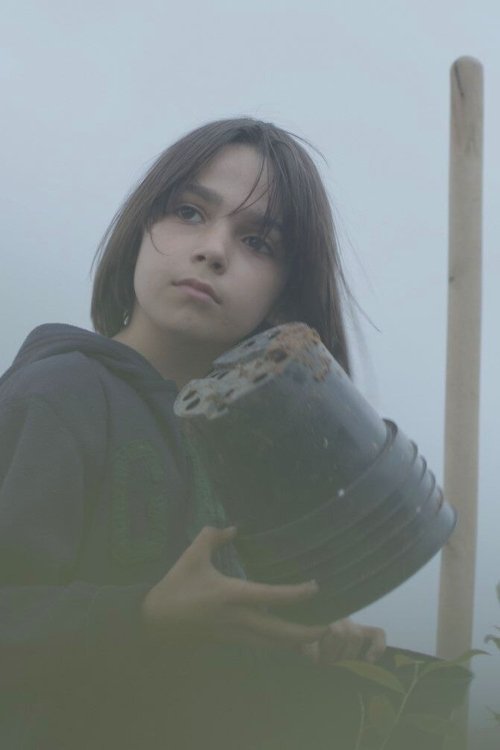 Poster image du film Blueberry Dreams Blueberry Dreams