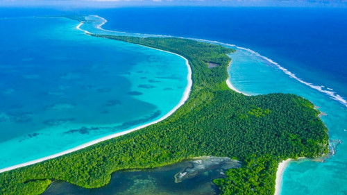 backdrop The Chagos Islands - Hope for Coral Reefs?