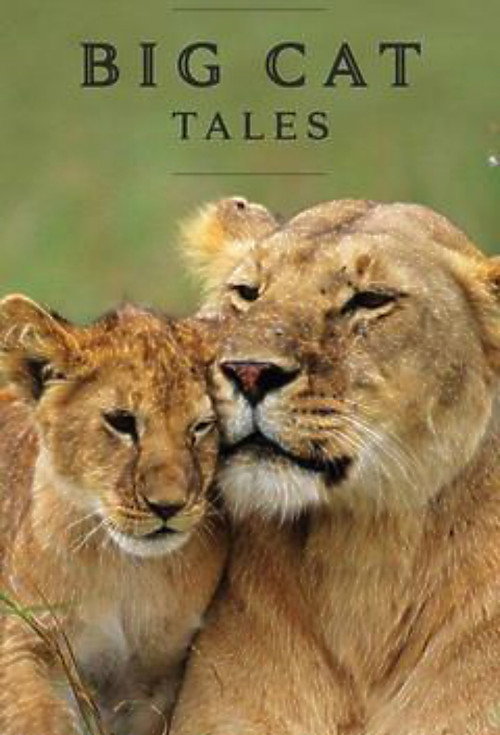 Big Cat Tales