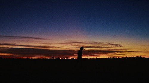 Ross Ryler Bild 4