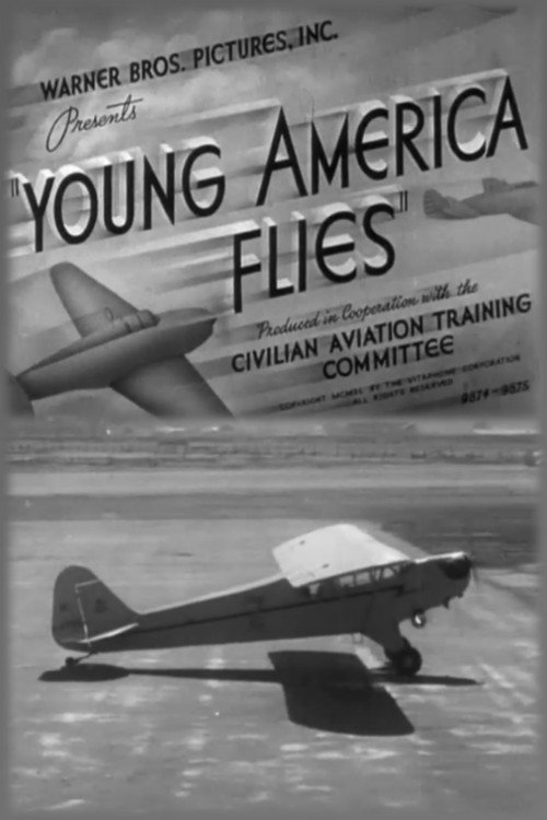 Young America Flies