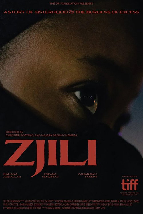 Zjili: A Story of Sisterhood and The Burdens of Excess