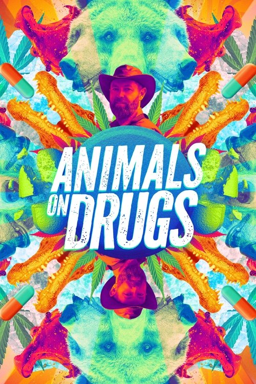 Animals on Drugs poster