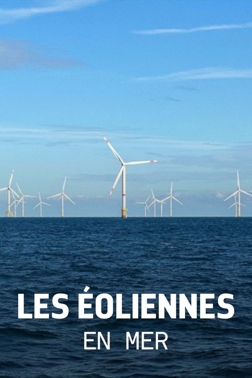 Poster image du film Les éoliennes en mer, quelle cohabitation avec la nature ? Les éoliennes en mer, quelle cohabitation avec la nature ?