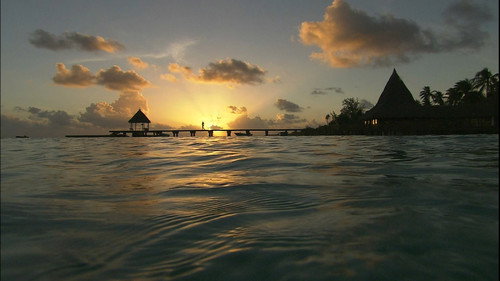 Virtual Trip Tahiti Backdrop Blur