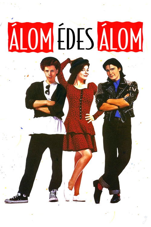 Dream a Little Dream poster