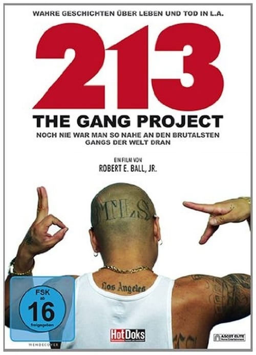 213 - The Gang Project 2011