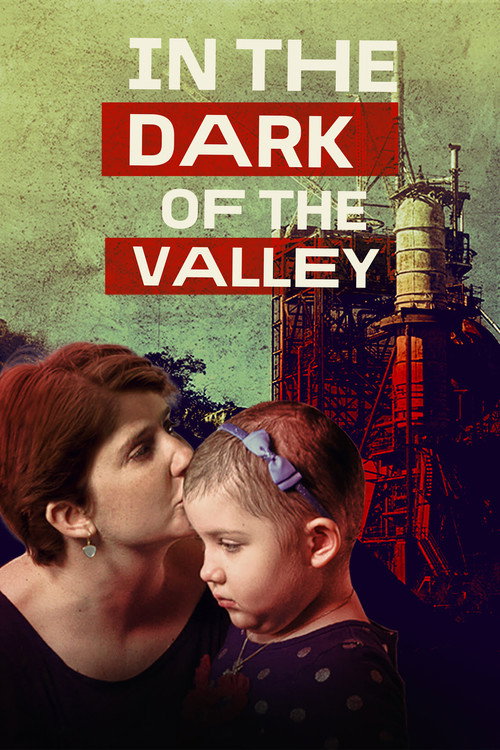 In the Dark of the Valley poster