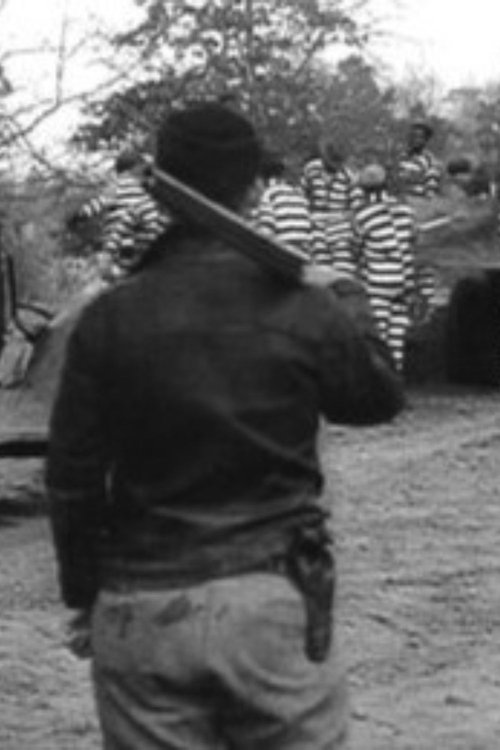 Corrections (2001) poster