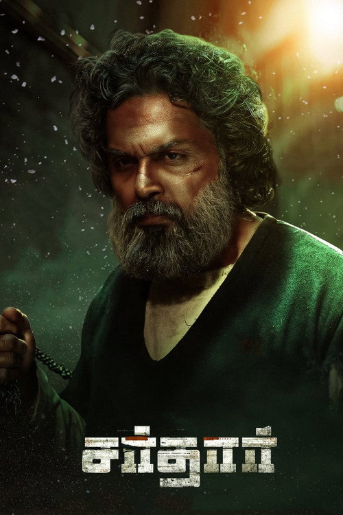 Sardar poster