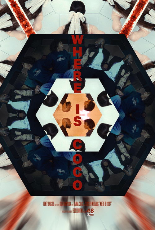 Where is Coco? poster