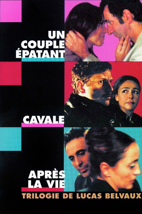 Un couple épatant / Cavale / Après la vie - Saga