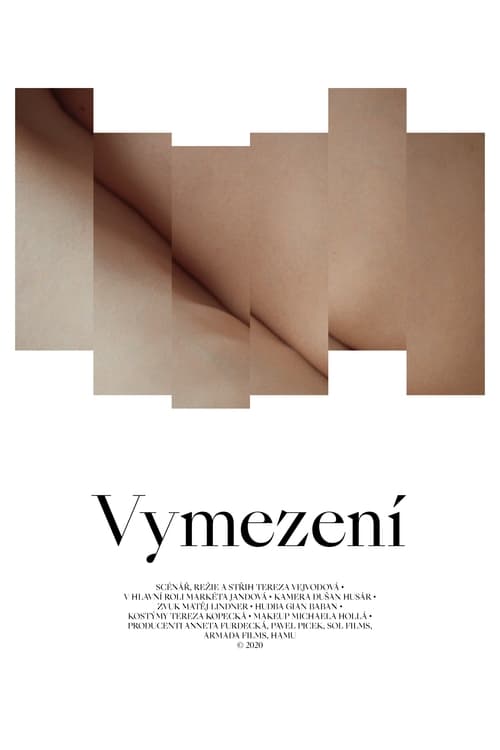 Poster Vymezení 2021