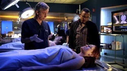 Poster della serie CSI: NY