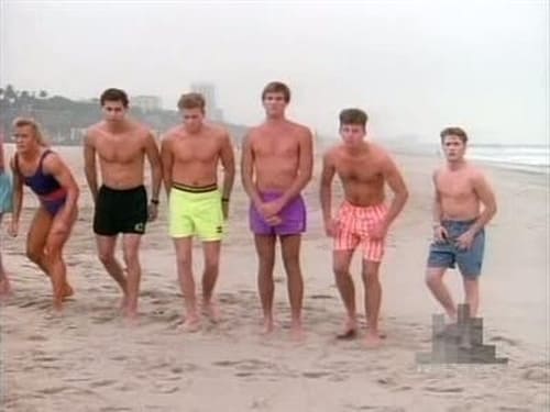 Beverly Hills, 90210, S02E01 - (1991)