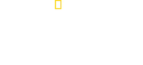 Explorer: The Last Tepui