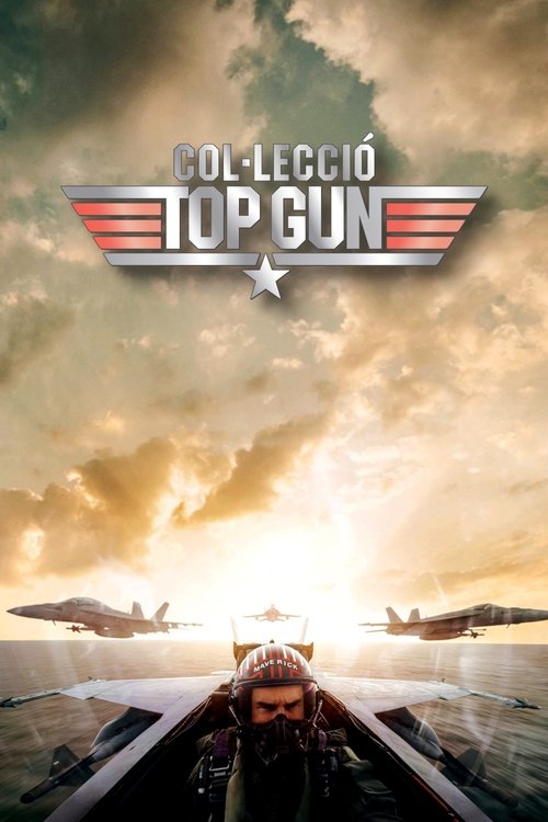 Pòster de Top Gun - Col·lecció