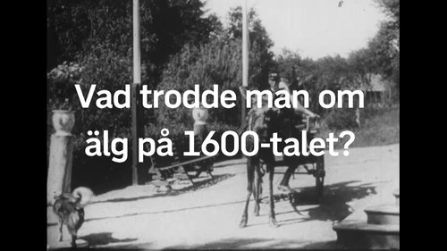 Image de l'épisode 8