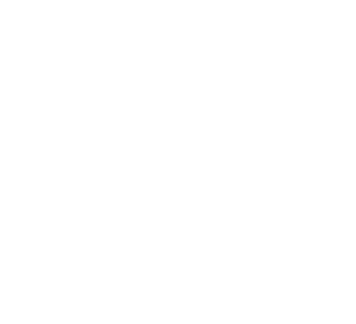 Not Another Teen Movie